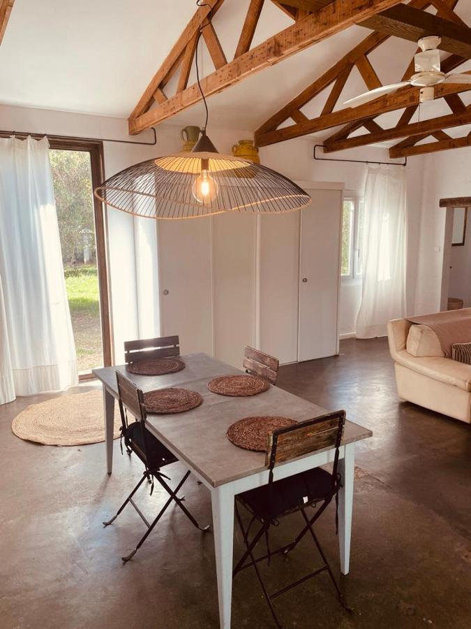 Casa Cote Sud - Mas Bois Fontaine Villa Nîmes Eksteriør billede