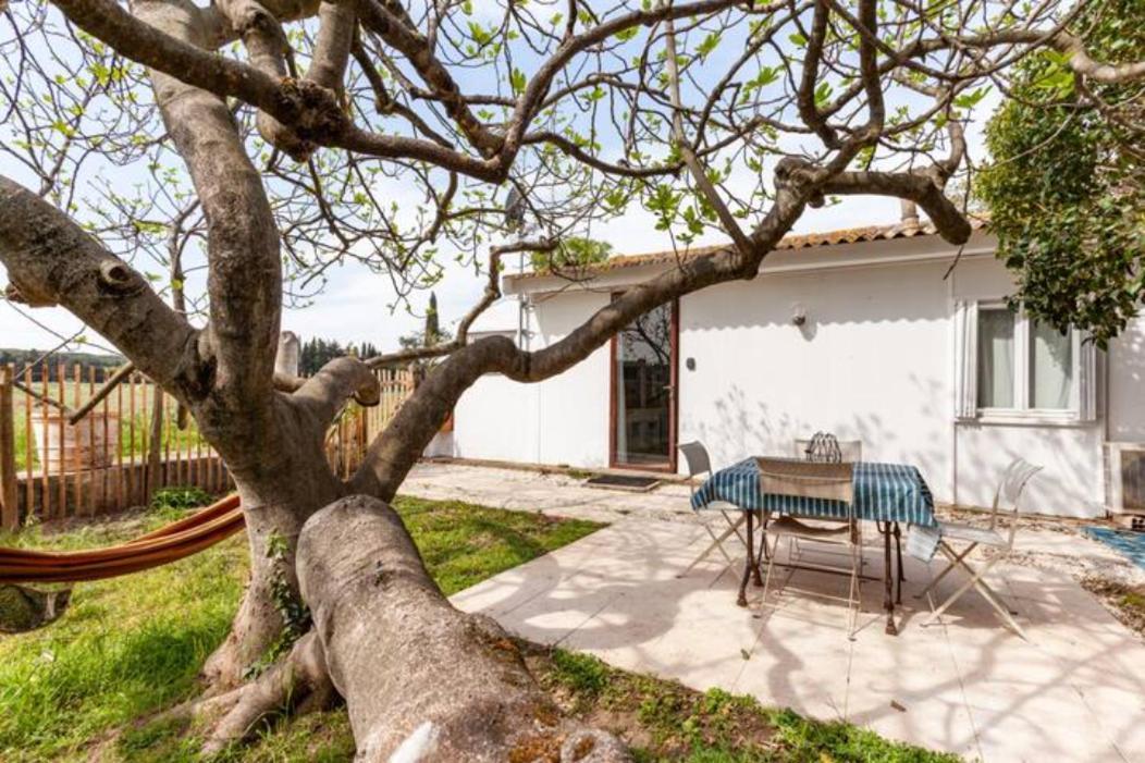 Casa Cote Sud - Mas Bois Fontaine Villa Nîmes Eksteriør billede