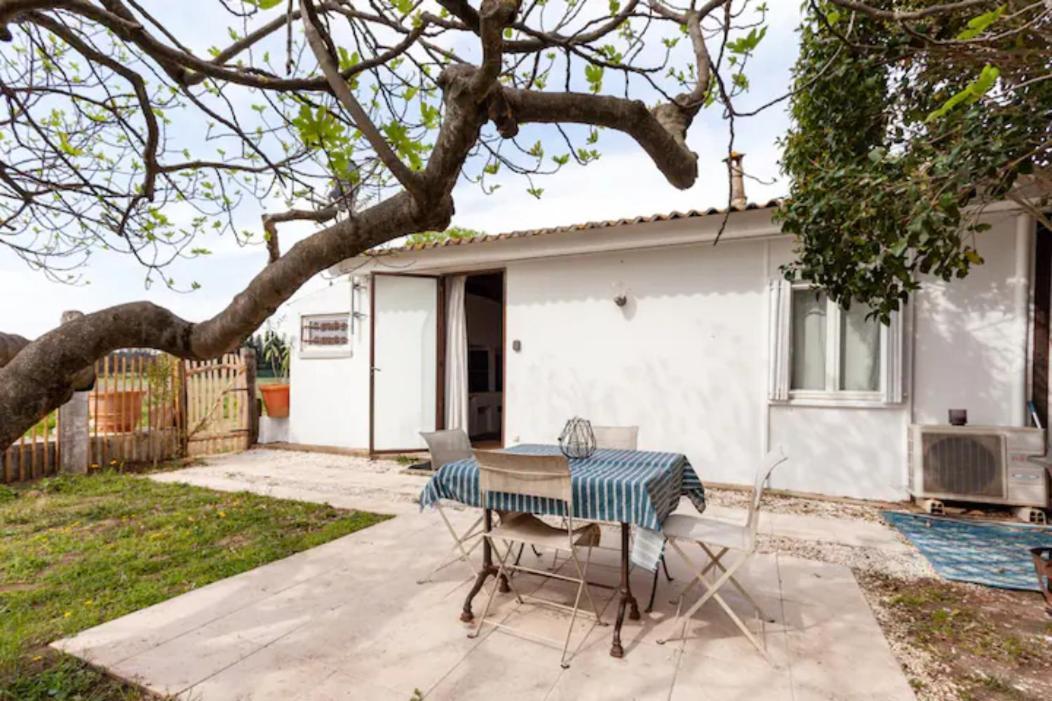 Casa Cote Sud - Mas Bois Fontaine Villa Nîmes Eksteriør billede
