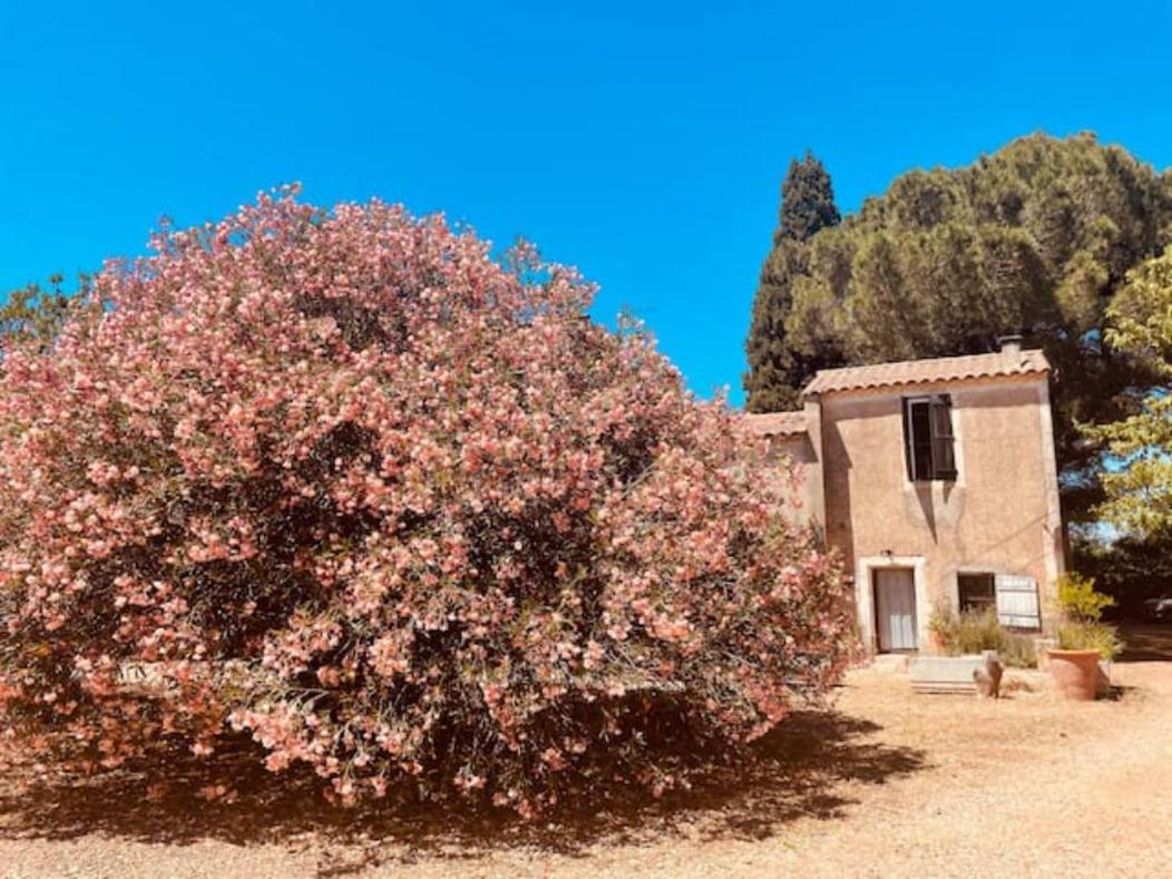 Casa Cote Sud - Mas Bois Fontaine Villa Nîmes Eksteriør billede